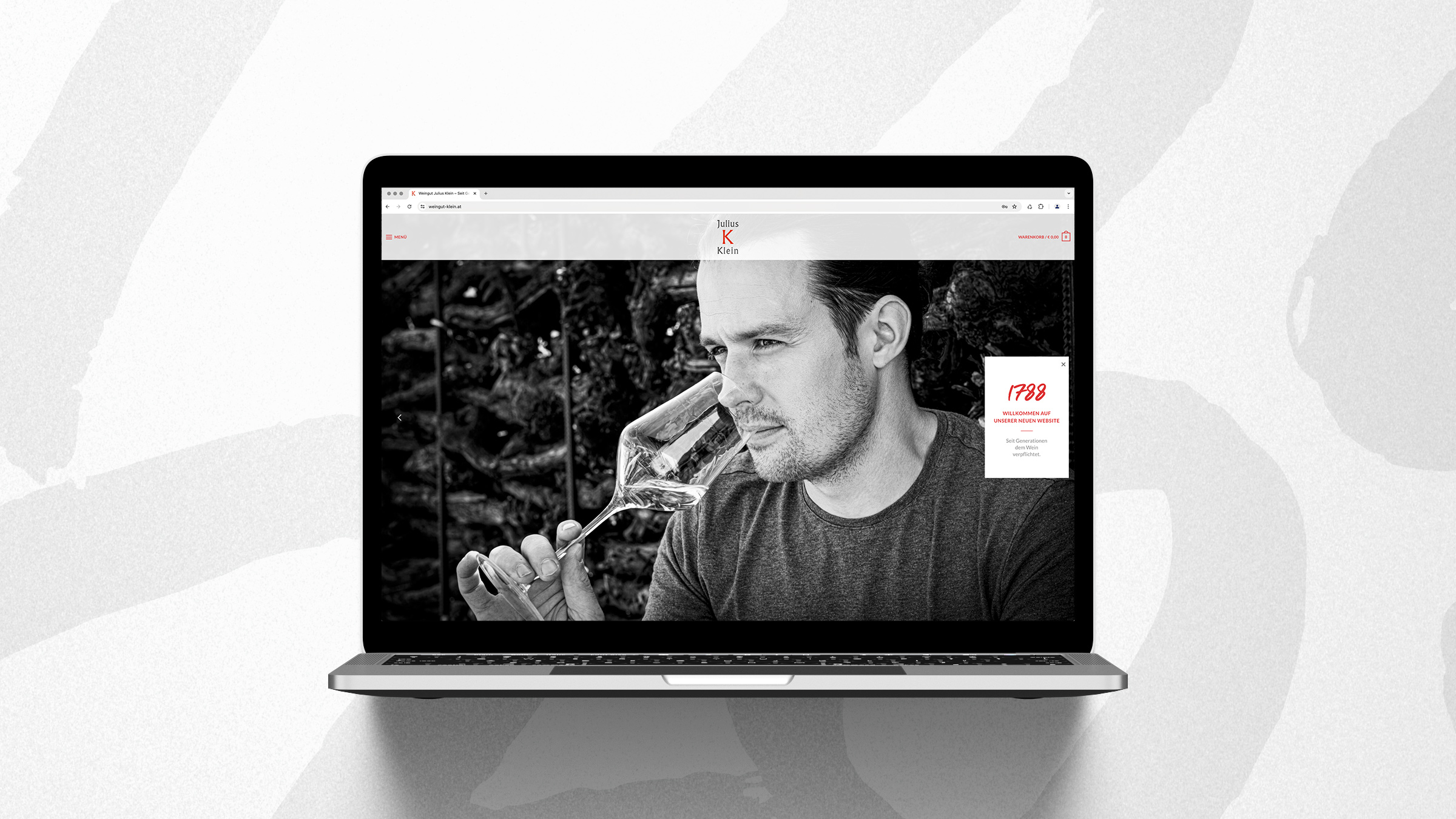 Titanweiss, Grafikstudio, Hanfthal, Weinviertel, Web Design, Weingut Julius Klein, Homeseite