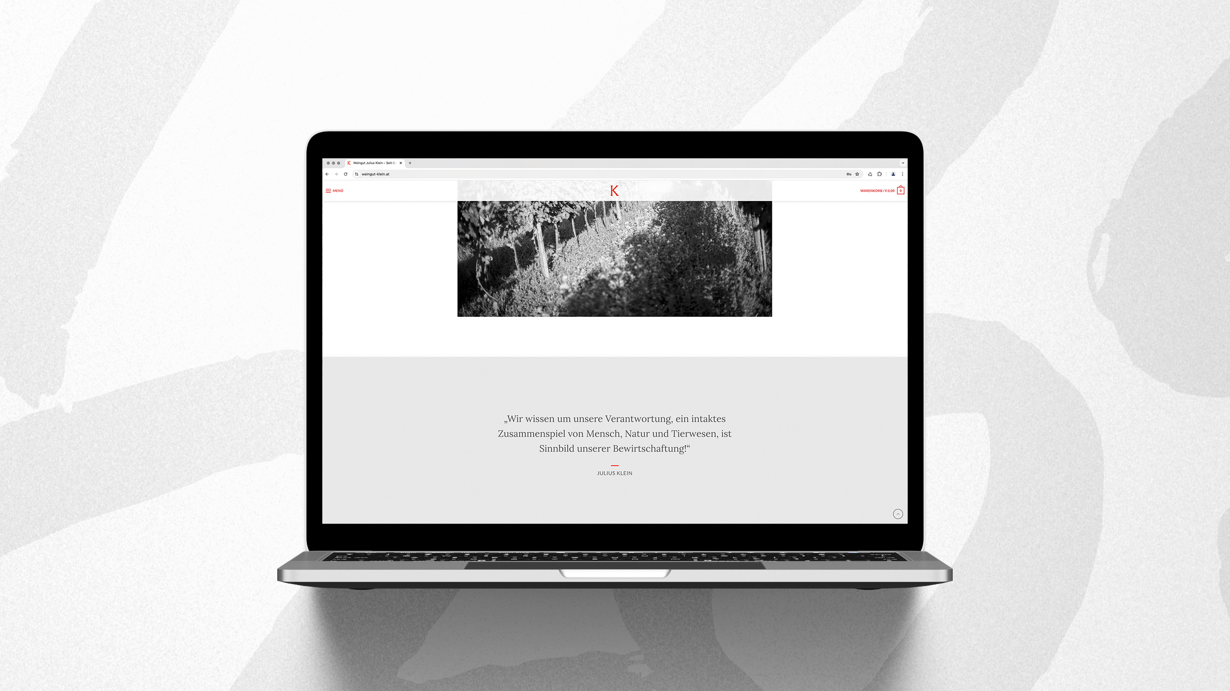 Titanweiss, Grafikstudio, Hanfthal, Weinviertel, Web Design, Weingut Julius Klein, Folgeseite