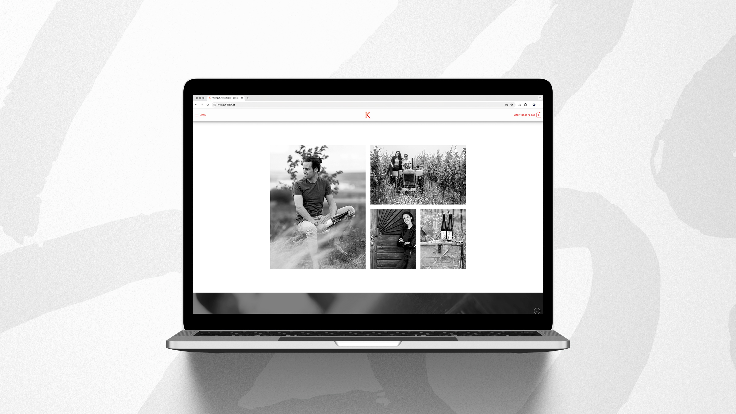 Titanweiss, Grafikstudio, Hanfthal, Weinviertel, Web Design, Weingut Julius Klein, Folgeseite